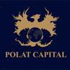 POLAT CAPITAL GROUP Logo