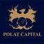 POLAT CAPITAL GROUP Logo