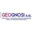 GEOGNOSI s.a. Logo