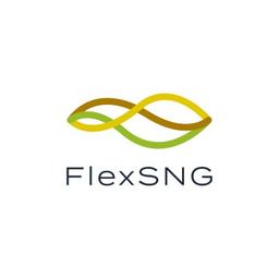 FlexSNG Project Logo