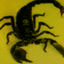 SCORPIONA2Z Logo