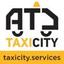 TAXICITY SERVICES Logo