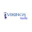 Vikings Navita Logo