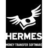 Hermes Money Transfer Software Logo