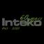 Inteko Solutions Logo