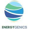 EnergyGenics Logo