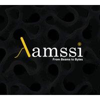 Lamssi Logo