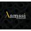Lamssi Logo