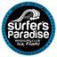 Surfers Paradise - Windsurf Club Logo
