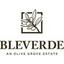Bleverde Logo