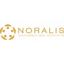 Noralis Consultancy | Sustainable Deal Architects Logo