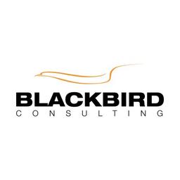 BLACKBIRD CONSULTING Logo