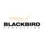 BLACKBIRD CONSULTING Logo