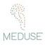 Meduse Logo