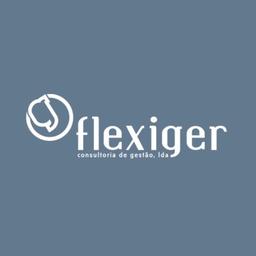 Flexiger | Consultoria de Gestão Logo