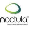 NOCTULA - Environmental consultants Logo