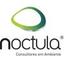 NOCTULA - Environmental consultants Logo