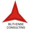 Blitzense Consulting Logo