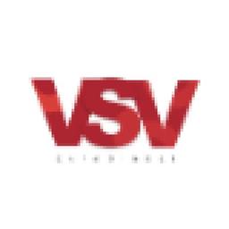 VSV EuroGlobal Logo