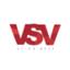 VSV EuroGlobal Logo
