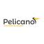 Pelicano Soluções Logo