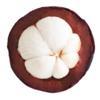 Mangosteen Venture Studio Logo