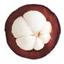 Mangosteen Venture Studio Logo
