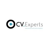 CV.Experts – Do currículo à contratação. Conduzimos cada passo. Logo