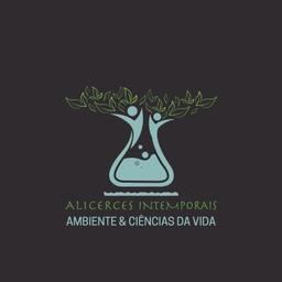 Alicerces Intemporais Ambiente Logo