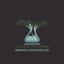 Alicerces Intemporais Ambiente Logo
