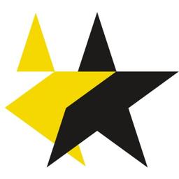 DevStars Ltd Logo