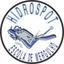 Hidrospot Logo
