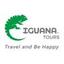 Iguana Tours Logo