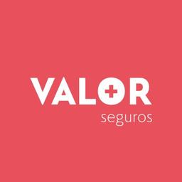 Valor Seguros Logo