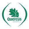 Quercus Logo