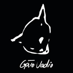 Gato Vadio Films Logo