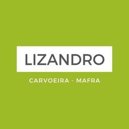 Lizandro Logo