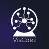 Vis Caeli Logo