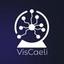 Vis Caeli Logo