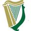 First Celtic International Logo
