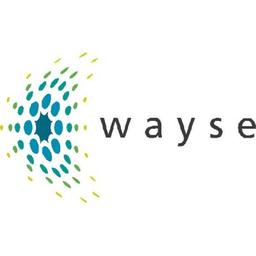 WAYSE - Soluções de Energias Renováveis Logo