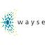 WAYSE - Soluções de Energias Renováveis Logo