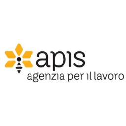 APIS S.p.A. - Agenzia per il Lavoro Logo
