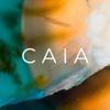 CAIA Logo