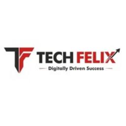 Tech Felix Logo