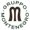 Gruppo Montenegro Logo