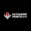 Acciaierie Venete spa Logo