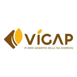 Vigap Logo