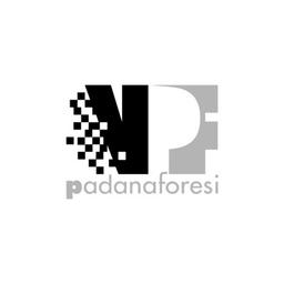 VERNICIATURA PADANA FORESI - S.R.L. Logo