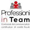 Professioni in Team Logo